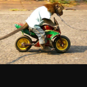 Meet your Posher, Braden